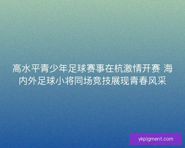 高水平青少年足球赛事在杭激情开赛 海内外足球小将同场竞技展现青春风采